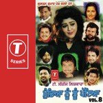 Mundeya Nu Tu Pateya (Vol. 8) - Krishna Johar Song Download
